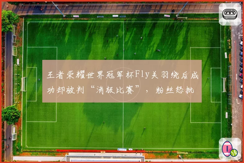 王者荣耀世界冠军杯Fly关羽绕后成功却被判“消极比赛”，粉丝怒批双重标准