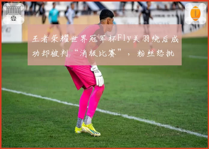 王者荣耀世界冠军杯Fly关羽绕后成功却被判“消极比赛”，粉丝怒批双重标准