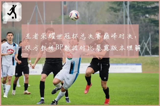 王者荣耀世冠杯总决赛巅峰对决，双方教练BP数据对比暴露版本理解差异