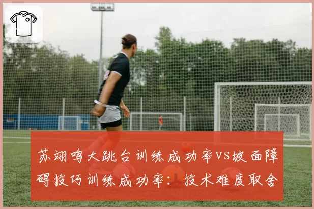 苏翊鸣大跳台训练成功率vs坡面障碍技巧训练成功率：技术难度取舍存争议